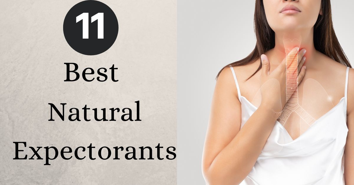 11 Best Natural Expectorants Food & Herbs