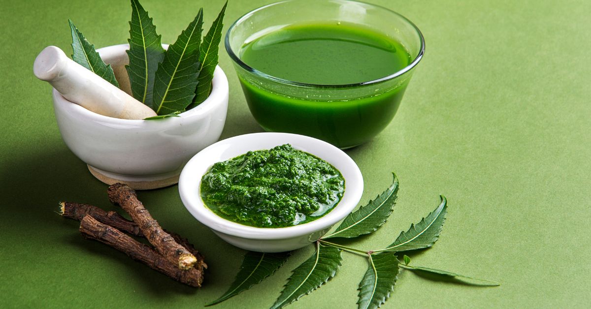 Benefits of Drinking Boiled Neem Leaves Water