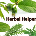 blood sugar leaves, herbal helpers that help to maintain sugar level