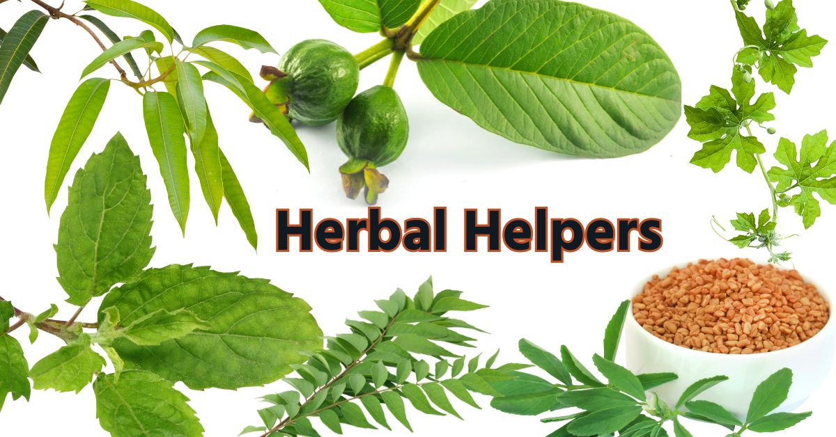 blood sugar leaves, herbal helpers that help to maintain sugar level