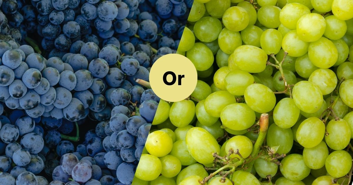 Green Grapes or Black Grapes: Which are better for health?